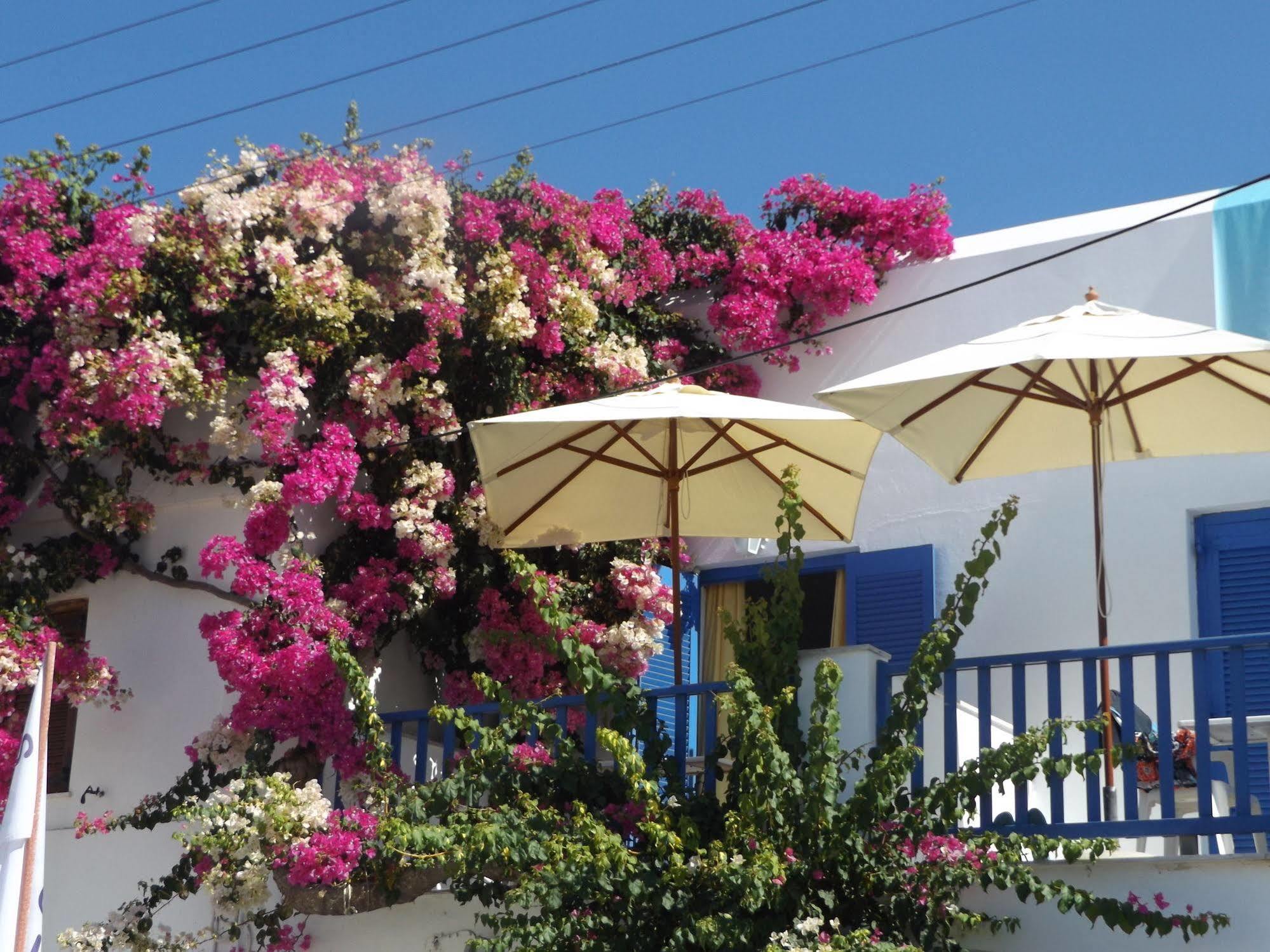 Stergia Hotel Πάρος Εξωτερικό φωτογραφία